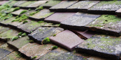 Horsley Cross roof repair costs